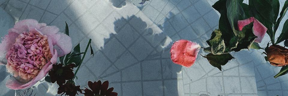 VaneGutz's profile banner image