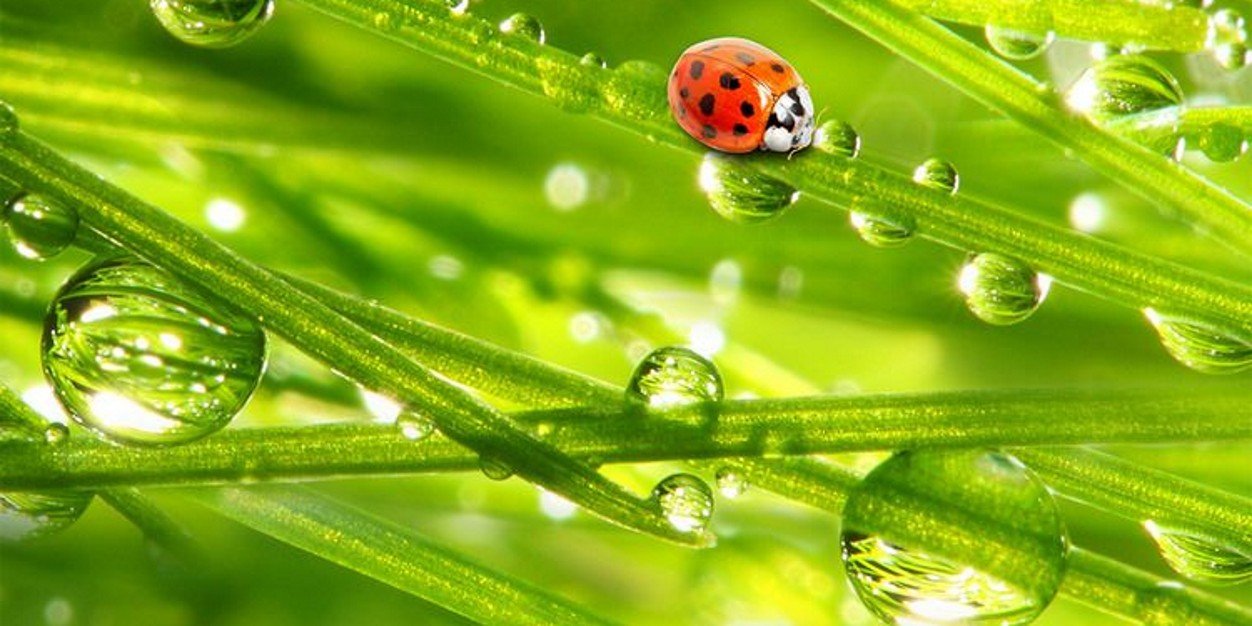 BiofilmCP's profile banner image
