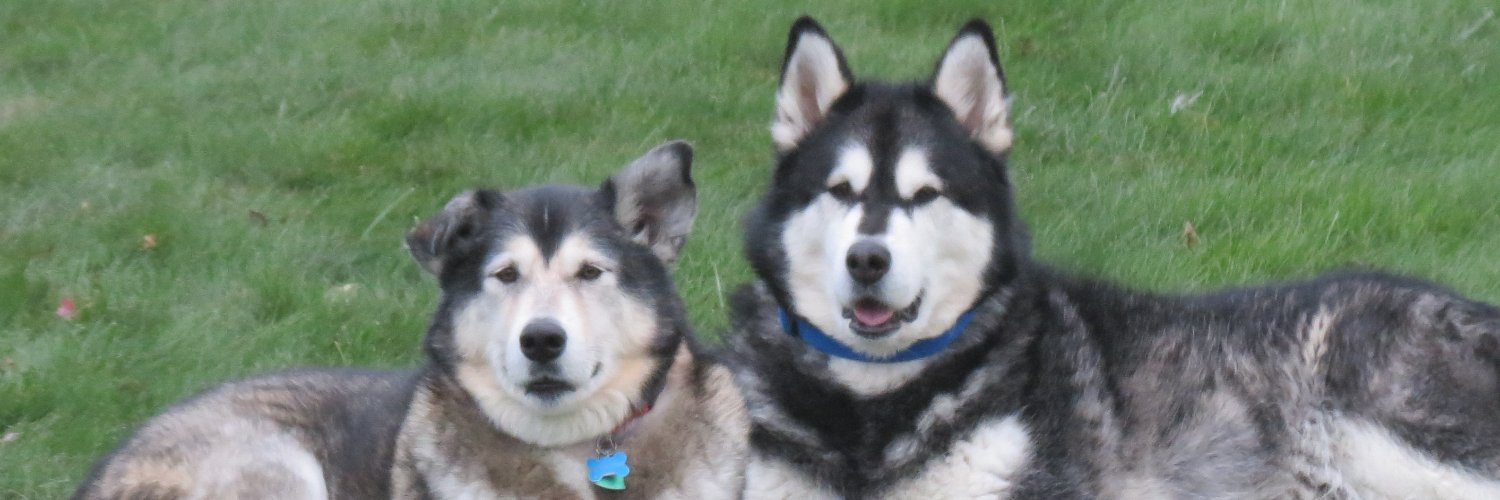SiperBowl's profile banner image