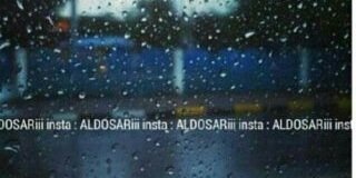 memoO2_11's profile banner image