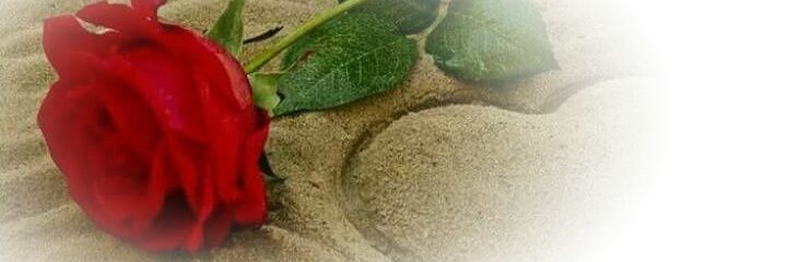 yconsan's profile banner image