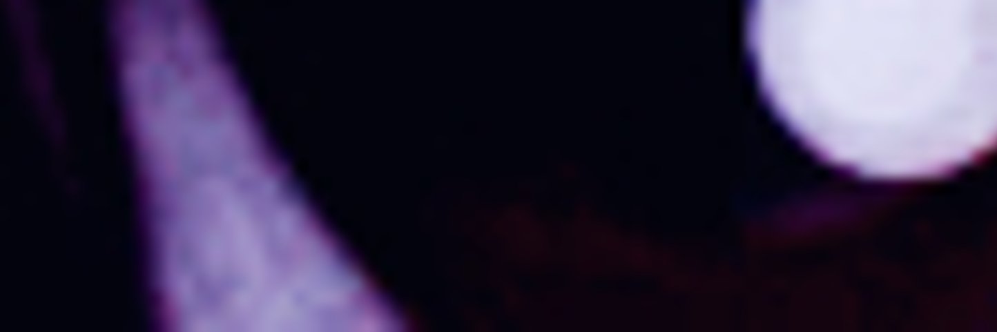 xcrisina's profile banner image