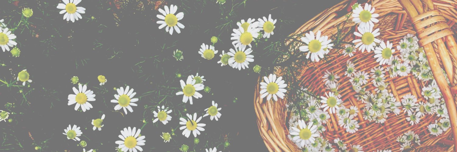 RootedInYah's profile banner image