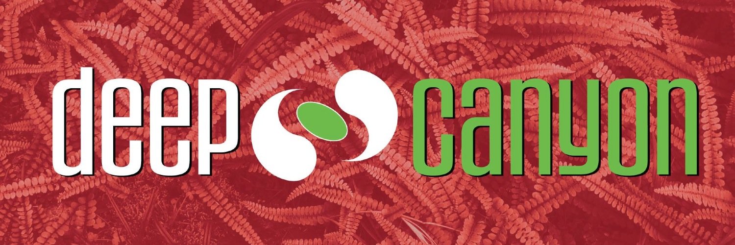 DeepCanyonNZ's profile banner image