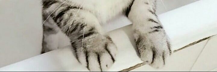 Deniz ♡ banner