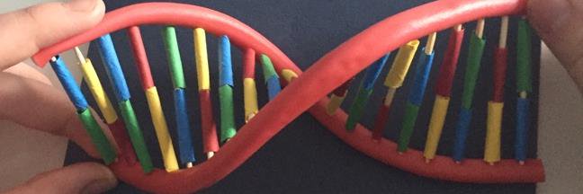 LHS_ScienceDept's profile banner image
