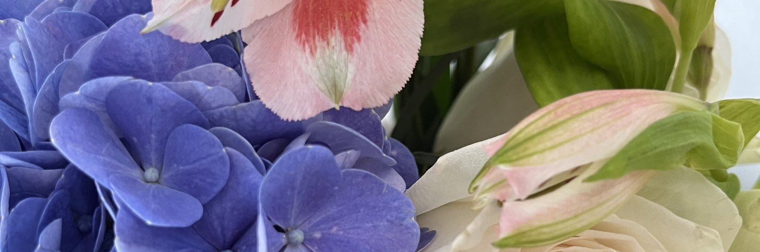 EmilyCantonB's profile banner image