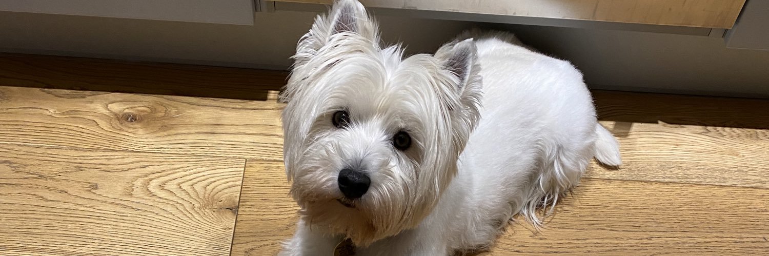 Allán Laville 🏳️‍🌈 banner