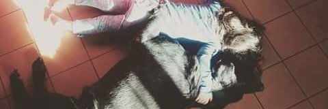rocastrob's profile banner image