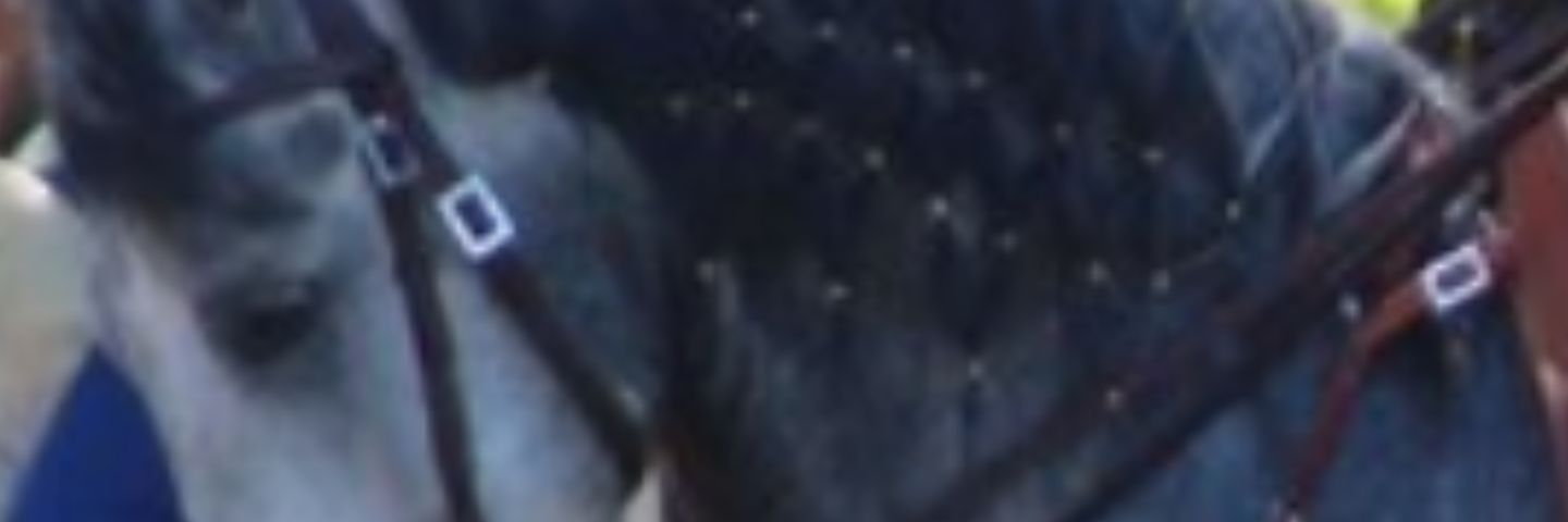 evaluna5252's profile banner image