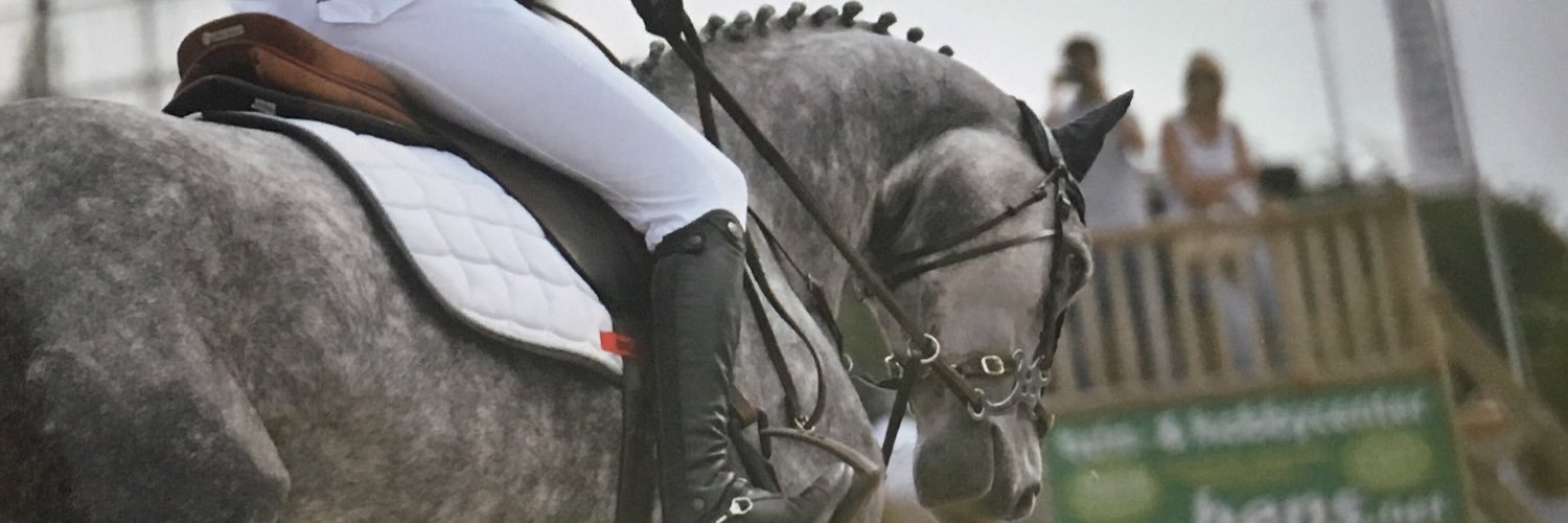 colleees's profile banner image