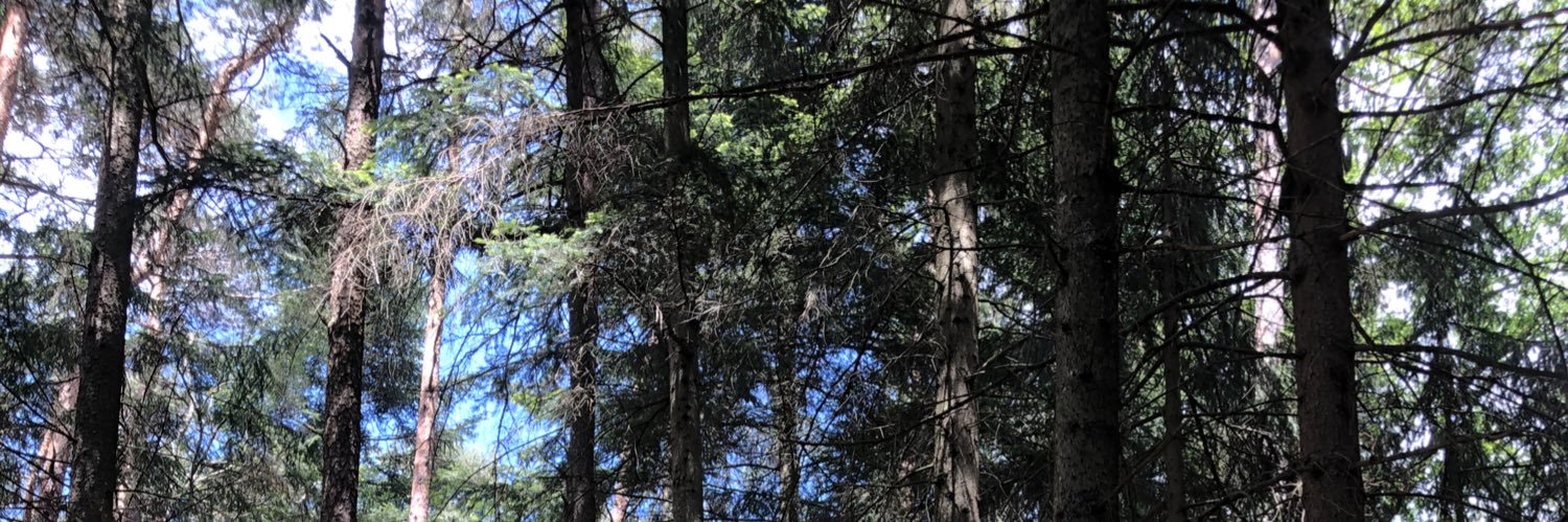 UllrichHuber's profile banner image