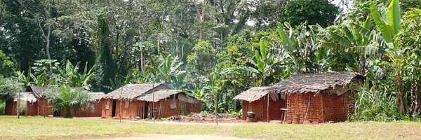 IngeLuyten Profile Banner