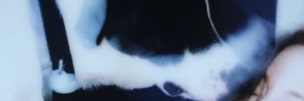 aaronjarreguin's profile banner image