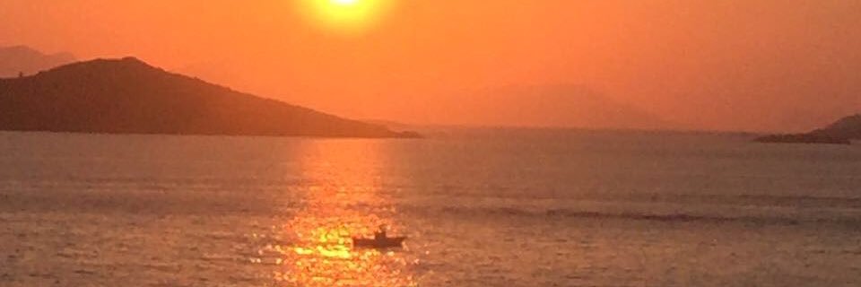 TevhideTkargin's profile banner image