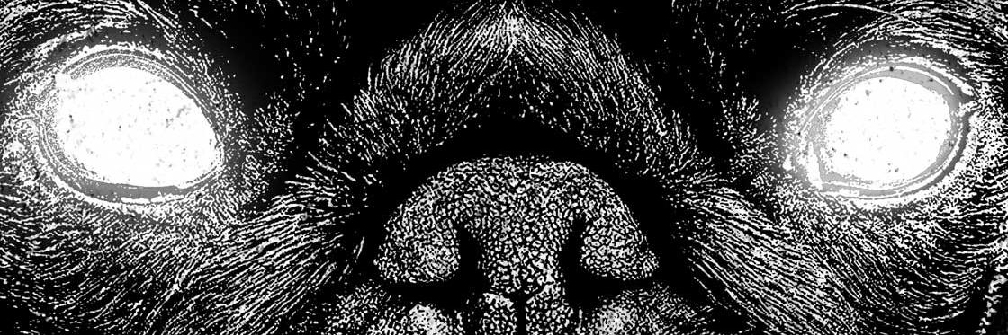 Tio_Fenix's profile banner image