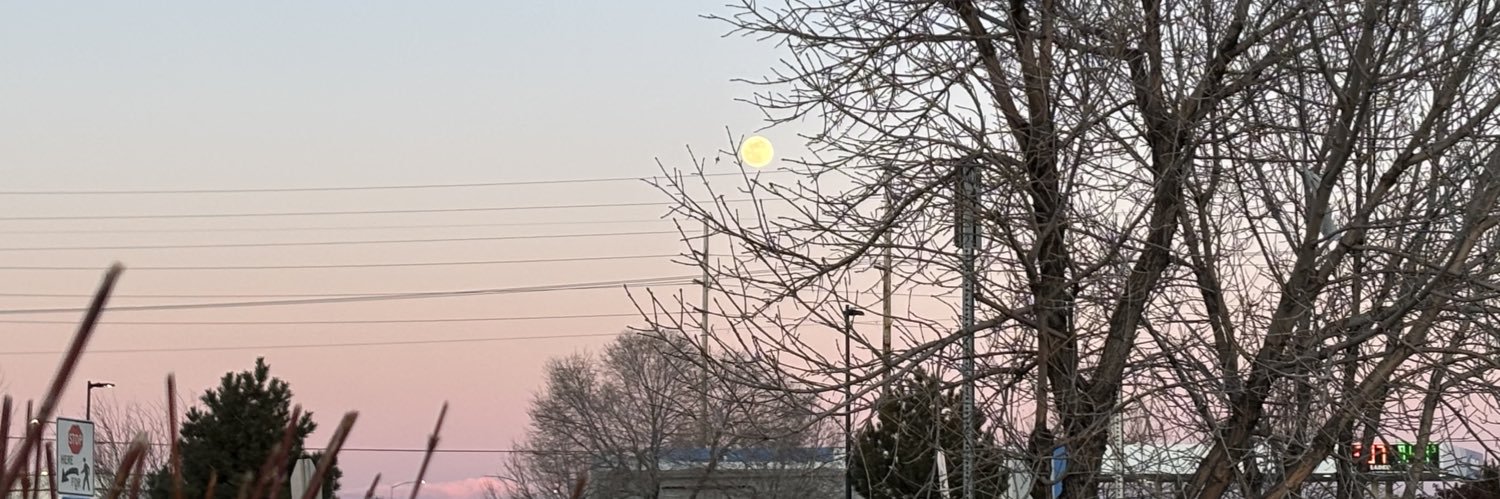 Numerous_Cookie's profile banner image