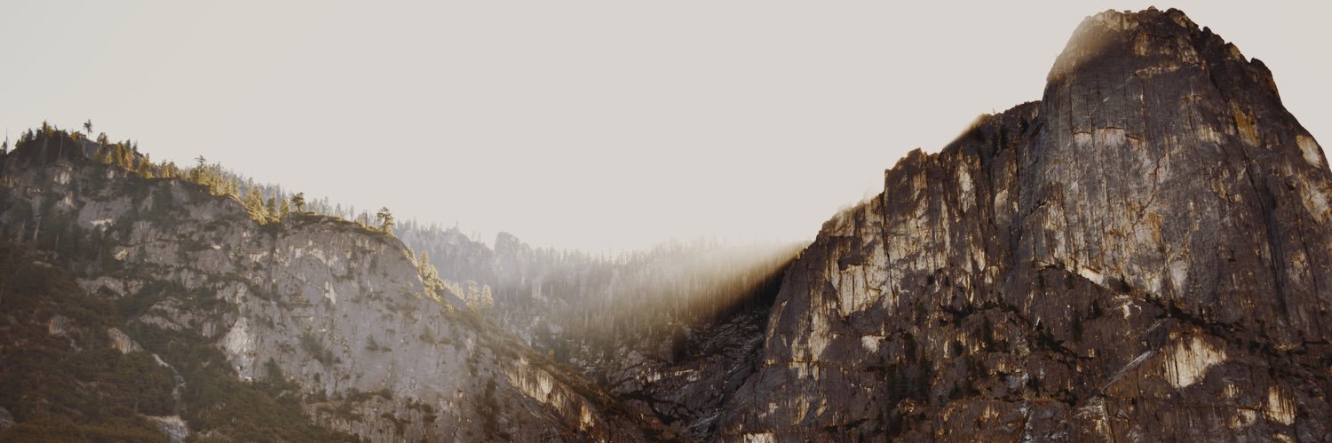 taylrcatherine's profile banner image