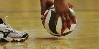 voleylicen's profile banner image