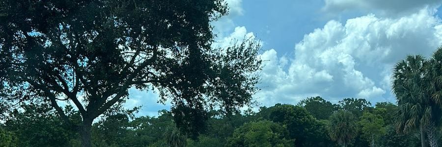 melmoran13's profile banner image