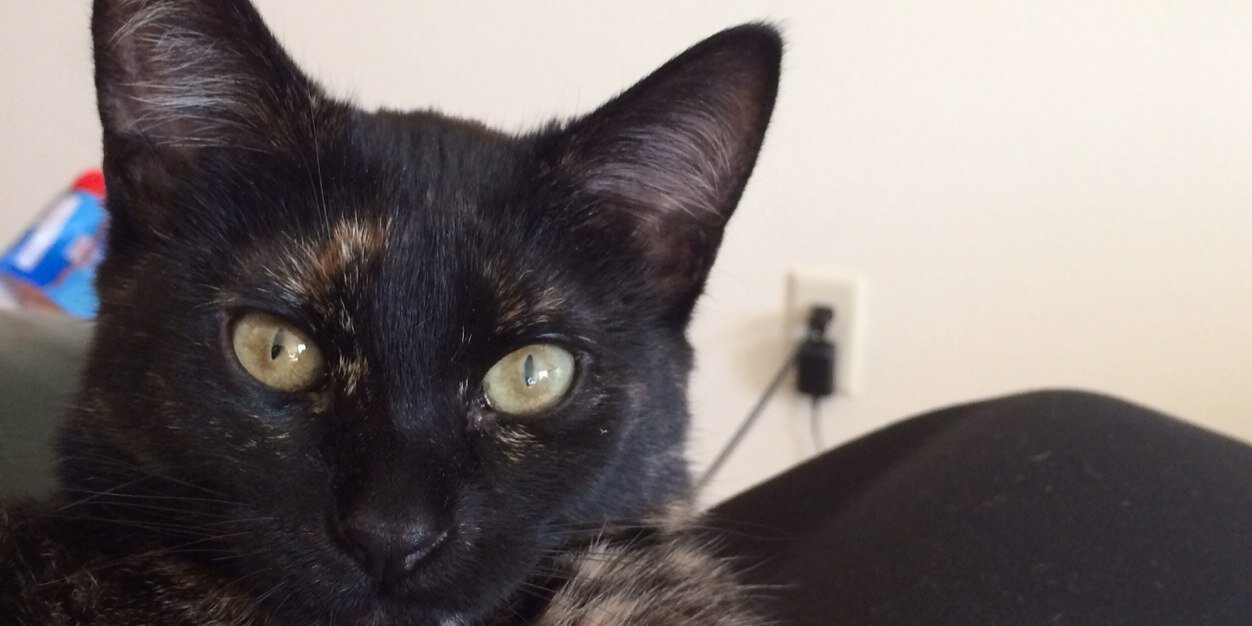 Fletcher Metz banner