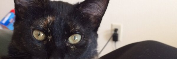 FletcherMetz22 Profile Banner