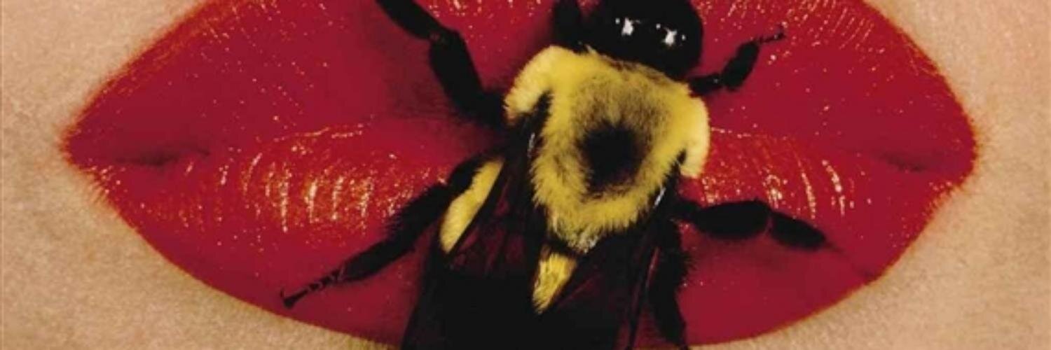 mayademayo's profile banner image
