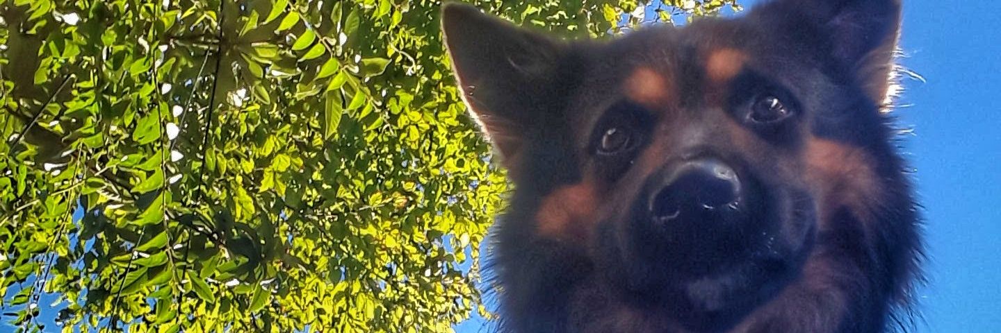 nando_ald's profile banner image