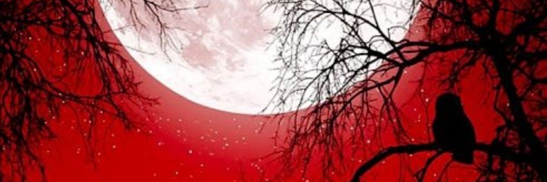 toxina007's profile banner image