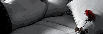 Samuelmoreno108's profile banner image
