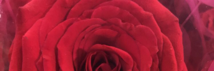 retejfjr's profile banner image