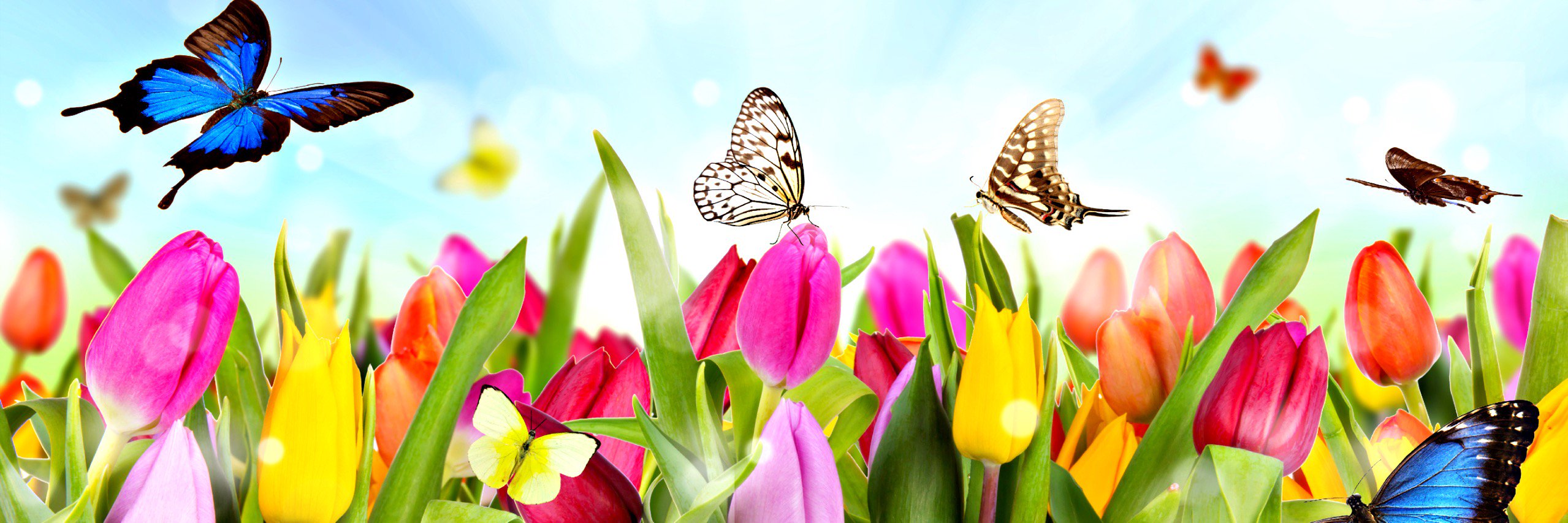 ralingh's profile banner image