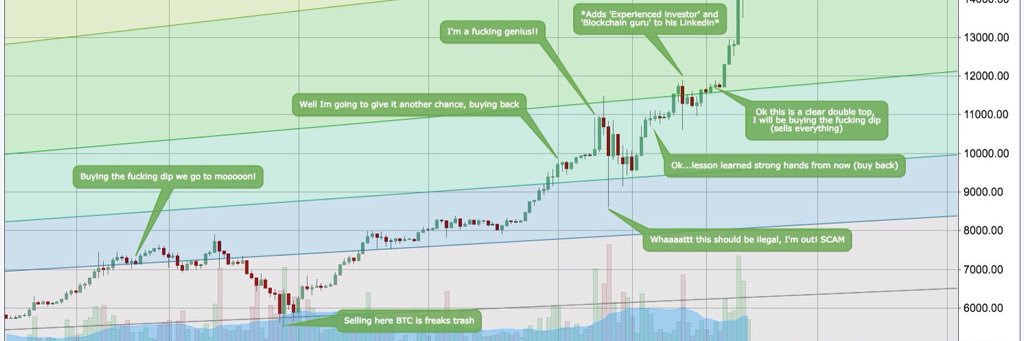 cryptocat_c's profile banner image