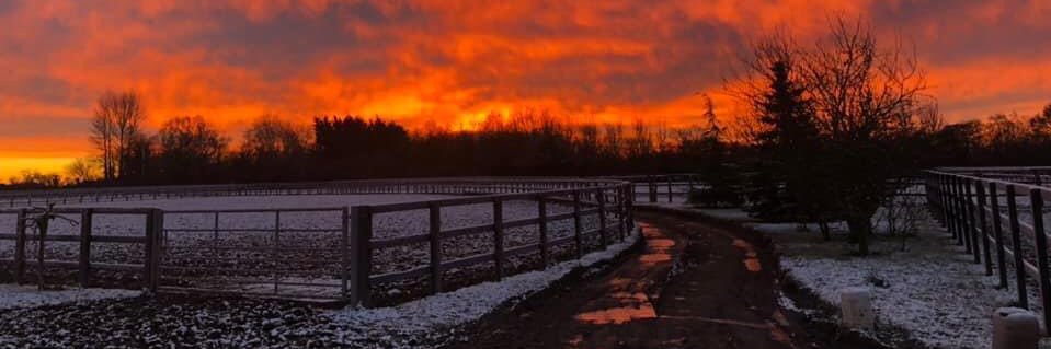 EAMBloodstock's profile banner image