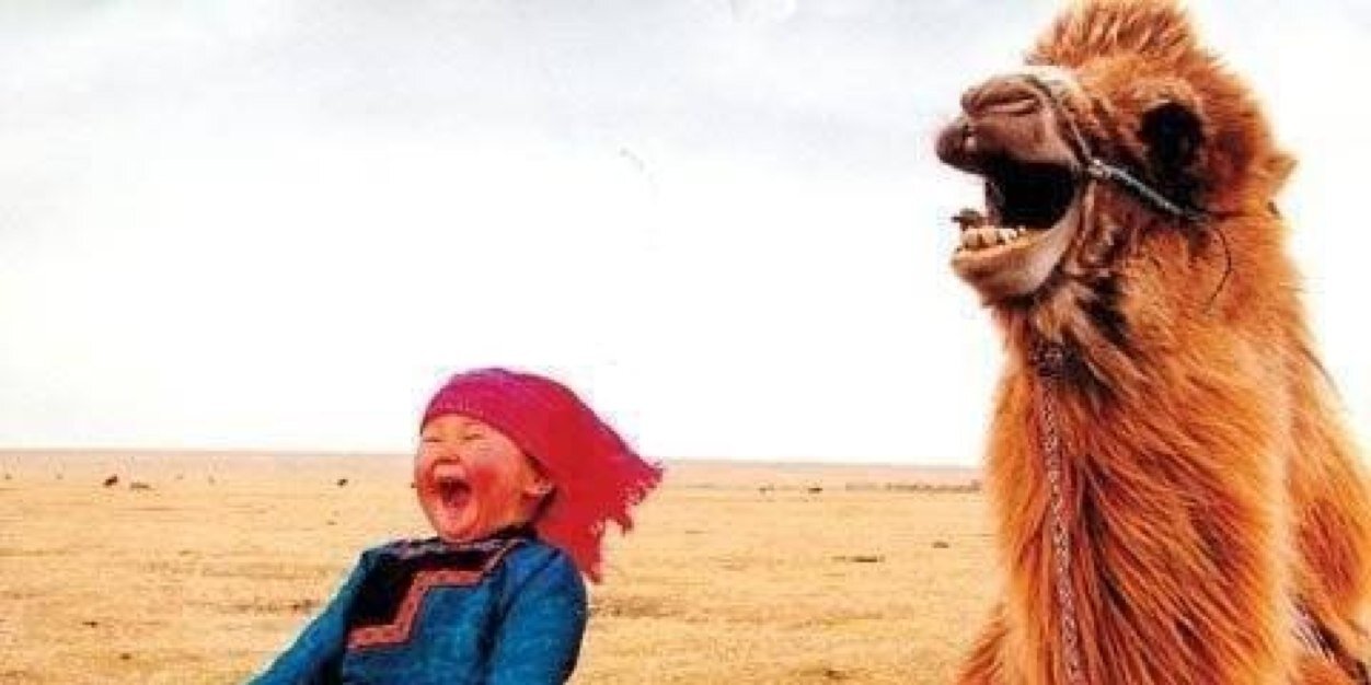 Antonio Gayon banner