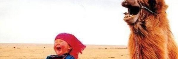 HankAlter Profile Banner