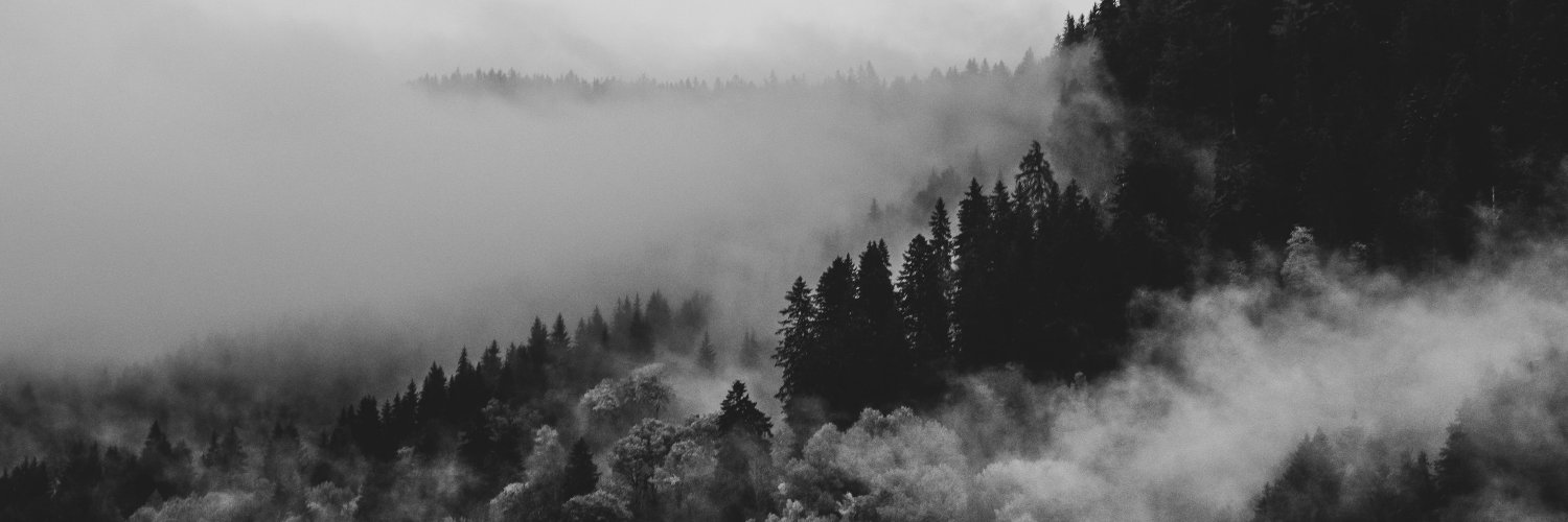 davidspalmer's profile banner image