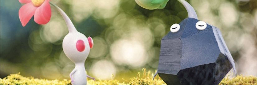 Jamil Starkweather banner