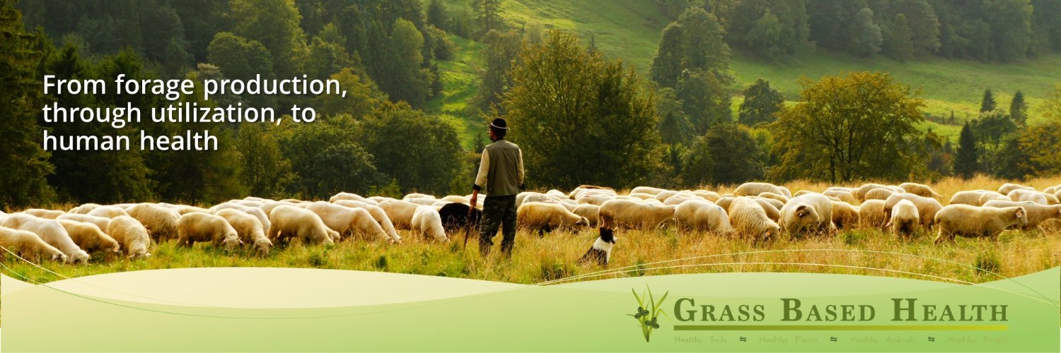 Peter Ballerstedt banner