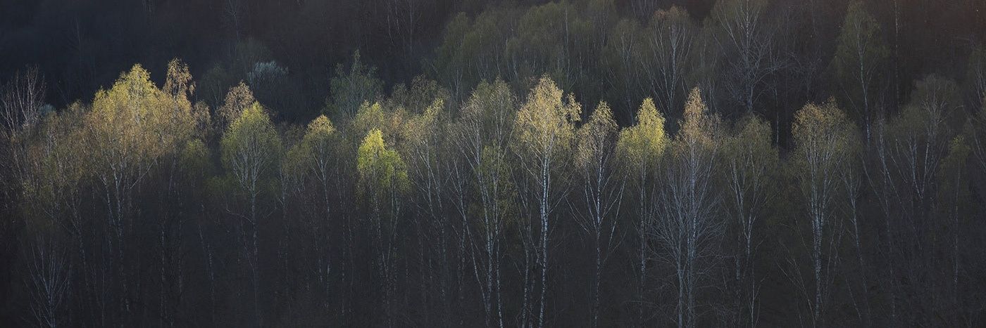 Graham Findlay banner