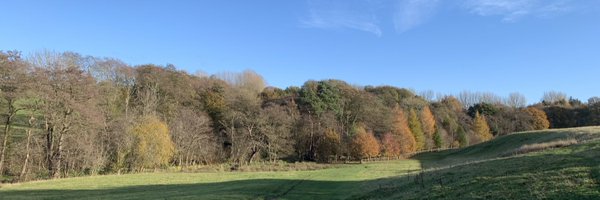 joanna_craven Profile Banner