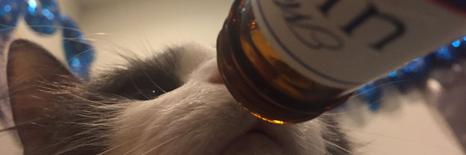 k4tnipp_'s profile banner image
