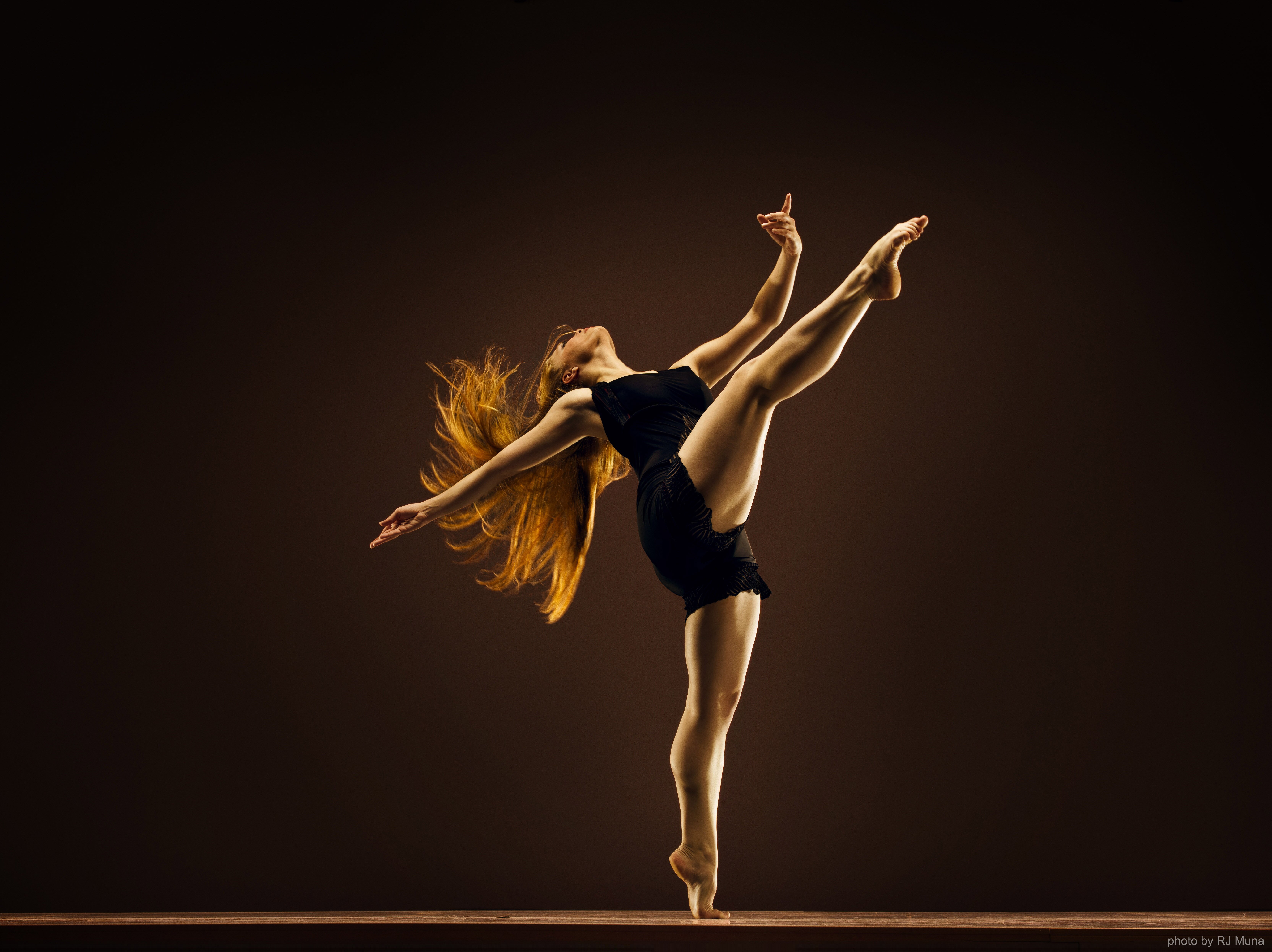 Sanne banner