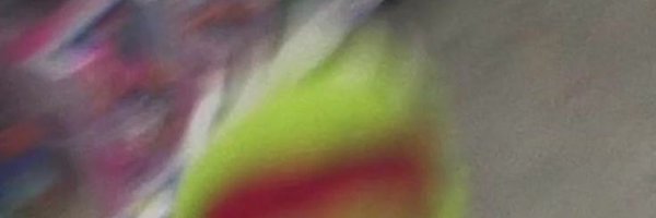 FerdinandMom Profile Banner