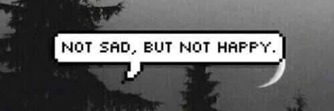 SurlaRose's profile banner image
