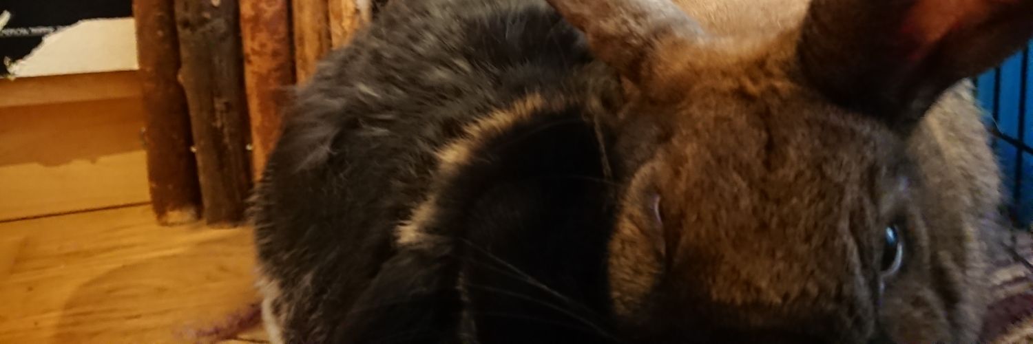 maskeddave's profile banner image