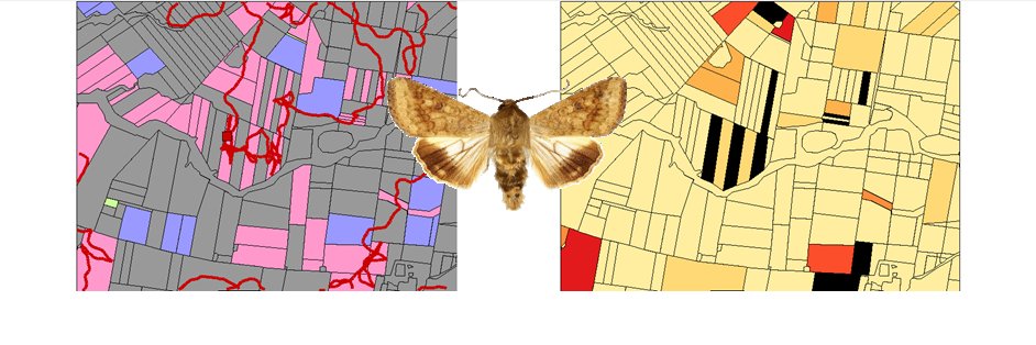 Dr Hazel Parry banner