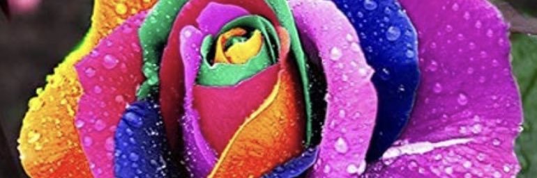Mzfeeebee's profile banner image
