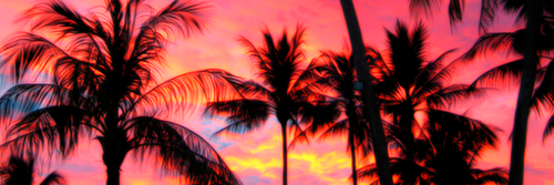 Mchllhz's profile banner image