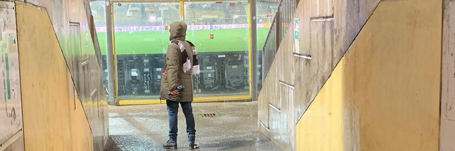 frasantoni7's profile banner image